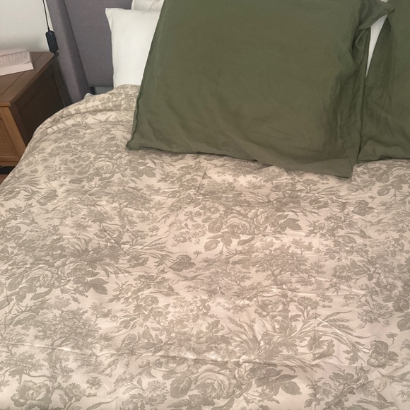 Pottery barn Sorrel Toile Duvet - Picture 1 of 2